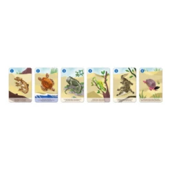 Janod Spellen, Kinderspellen - WWF Spel Happy Family Het Dierenrijk -Kinderspel Winkel janod spellen kinderspellen wwf spel happy family 2