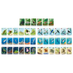 Janod Spellen, Kinderspellen - WWF Spel Happy Family Het Dierenrijk